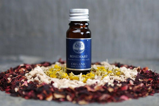 Rosemary Essential Oil