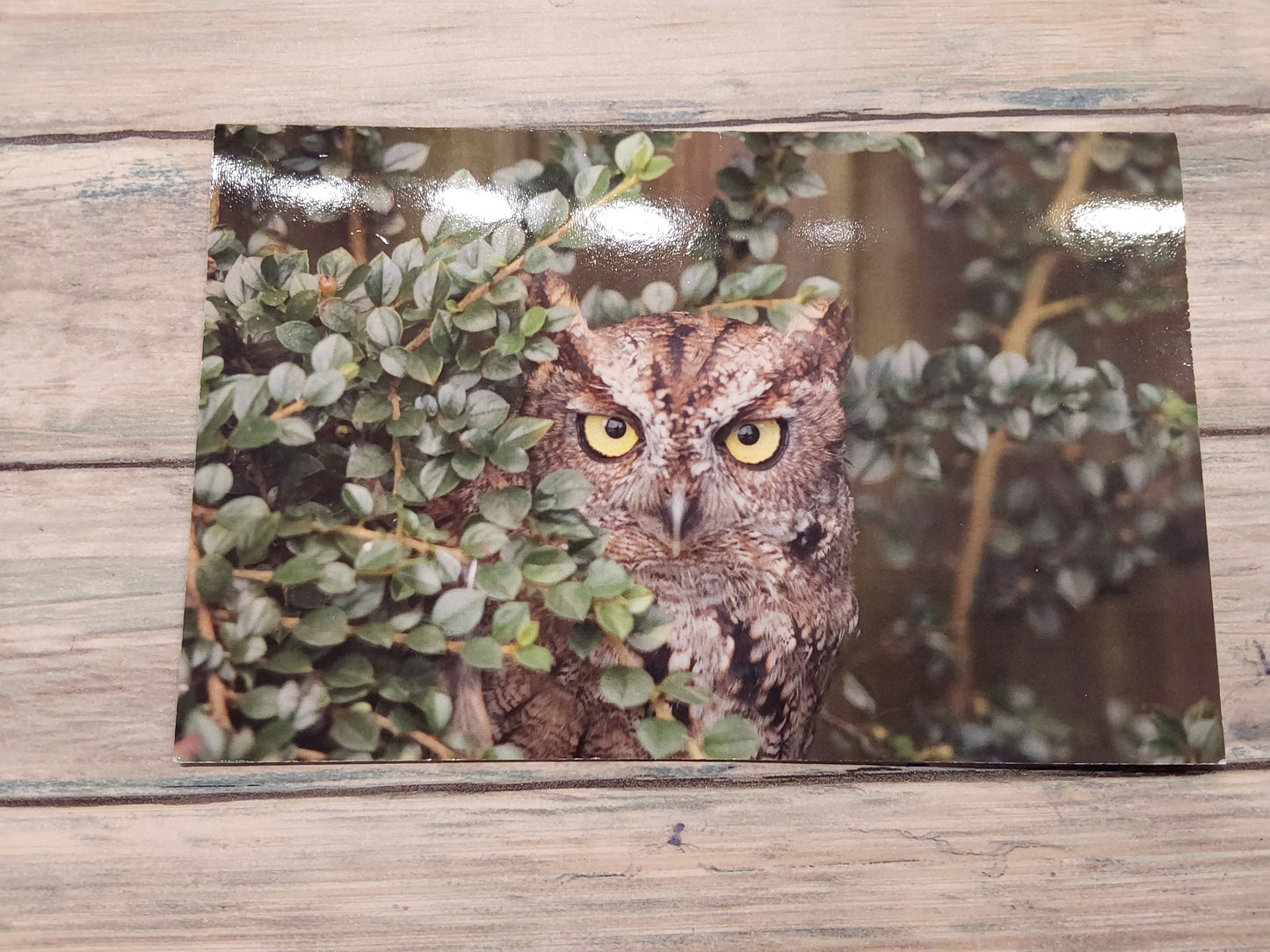 I see you