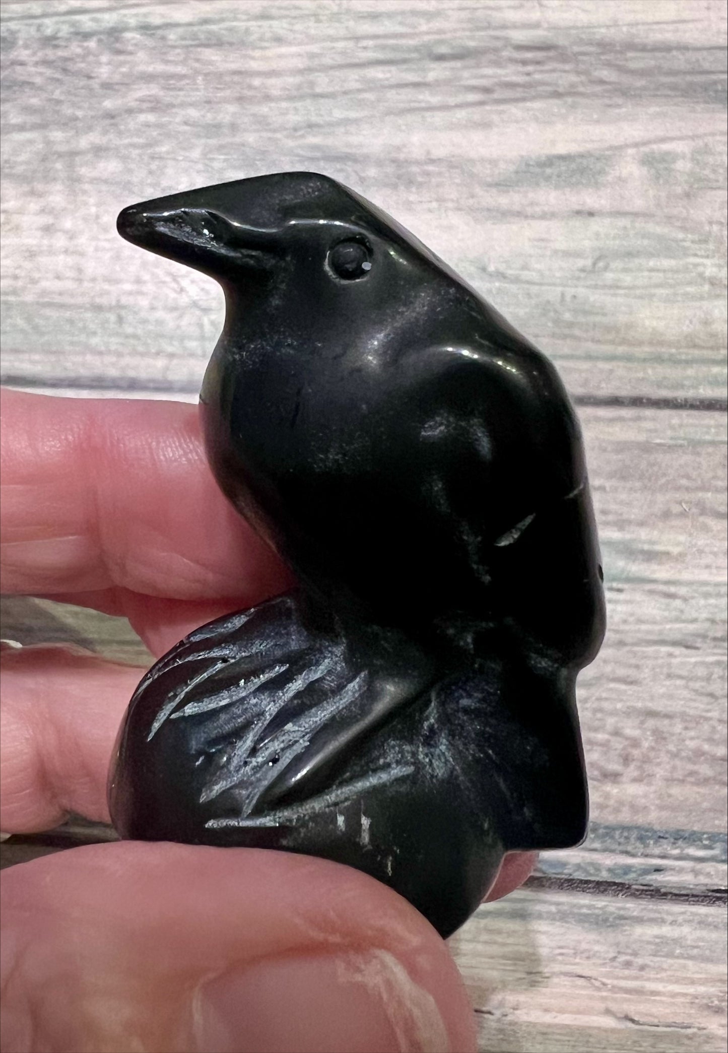 Obsidian Raven