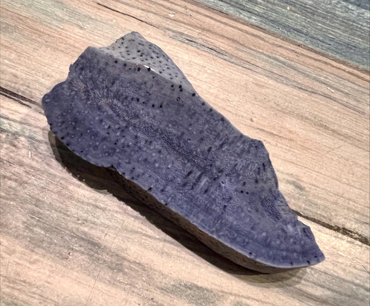 Blue Fossil Stone
