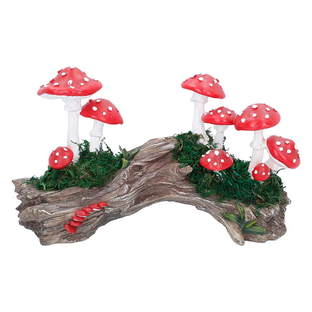 Toadstool Trunk. 23.7cm