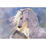 Oracle Of The Sacred Horse