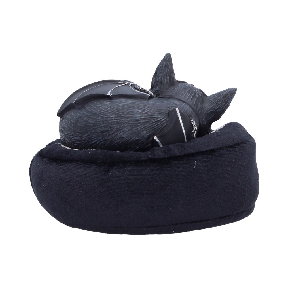 Malpuss Dreams 8.8cm