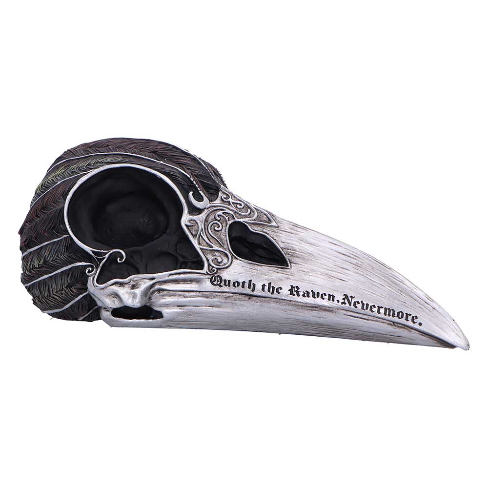 Quoth the Raven Skull 20.2cm