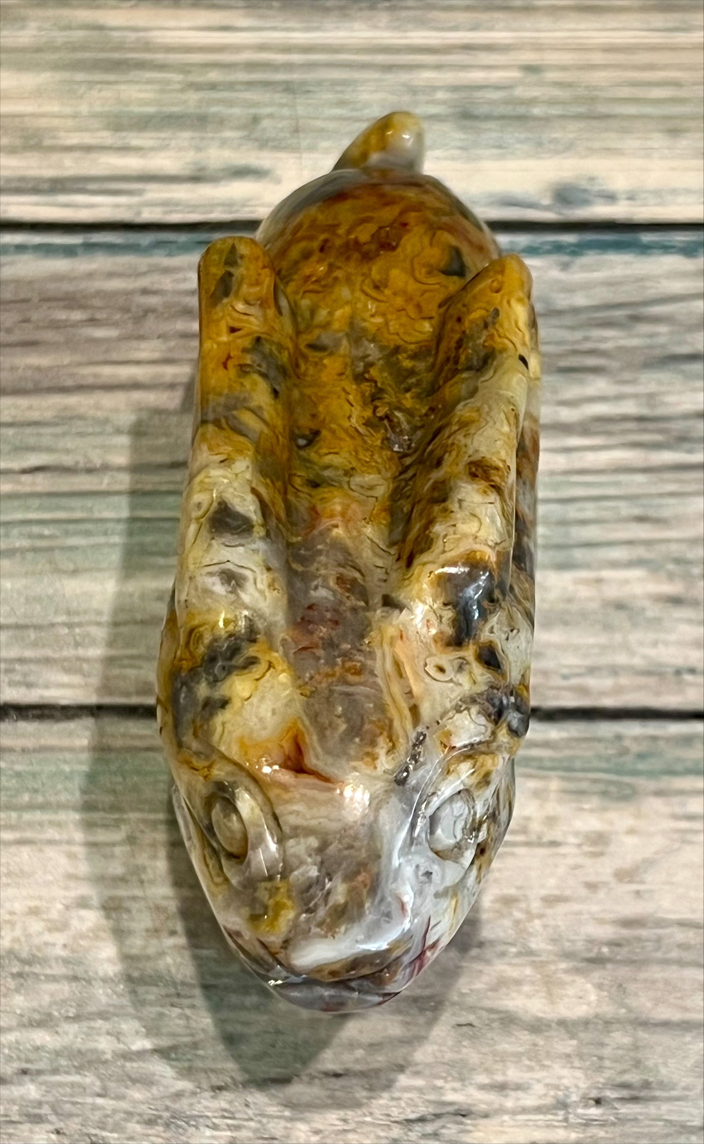 Crazy Lace Agate Hare