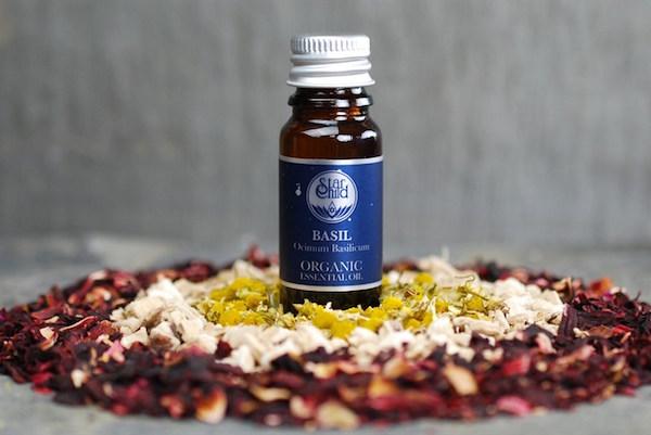 Basil Holy Tulsi Essential Oil