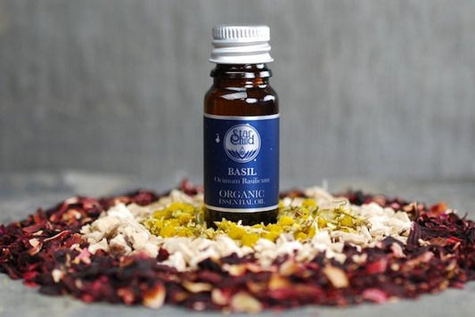Basil Holy Tulsi Essential Oil