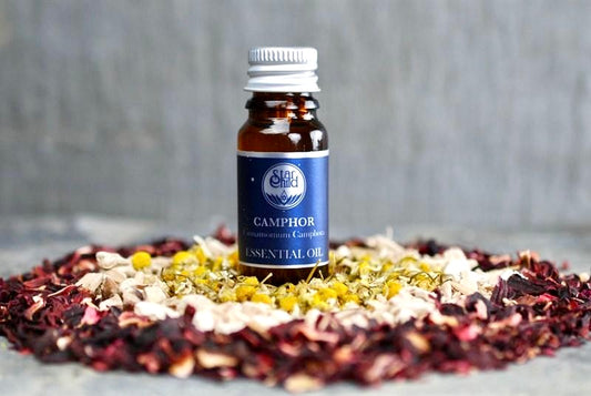 Camphor Essential Oil