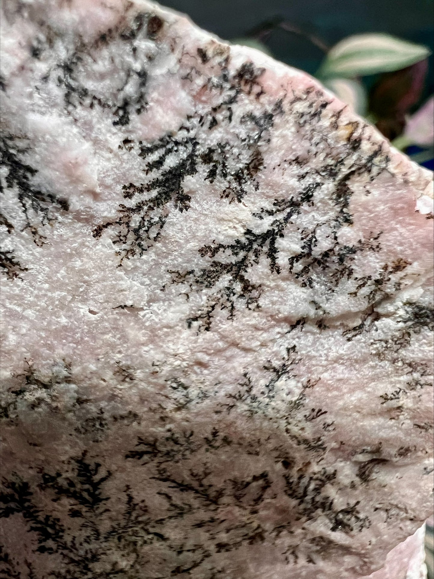 Dendritic Rhodonite Cut Base