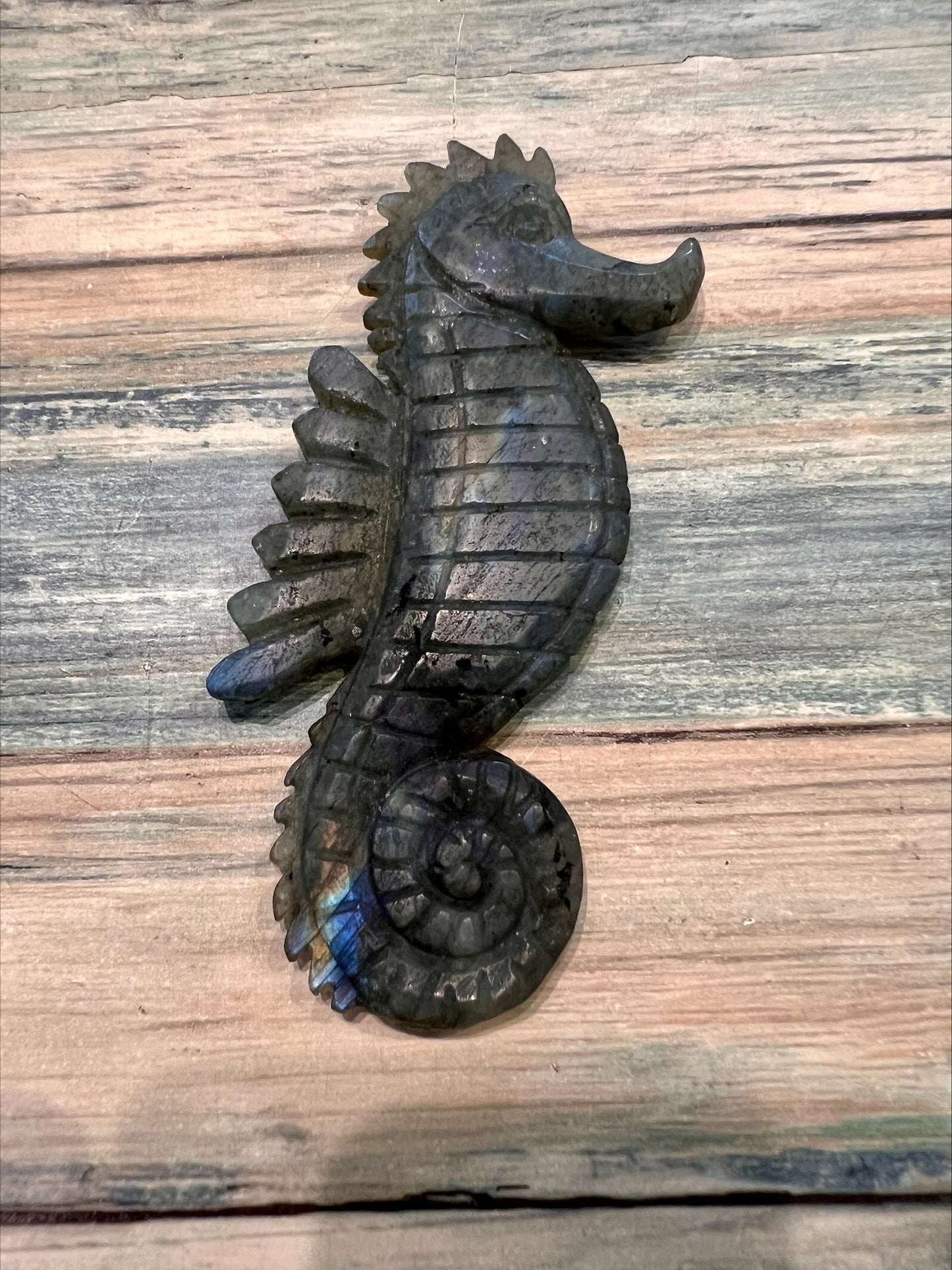 Labradorite Sea Horse
