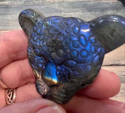 Labradorite Leopard Head