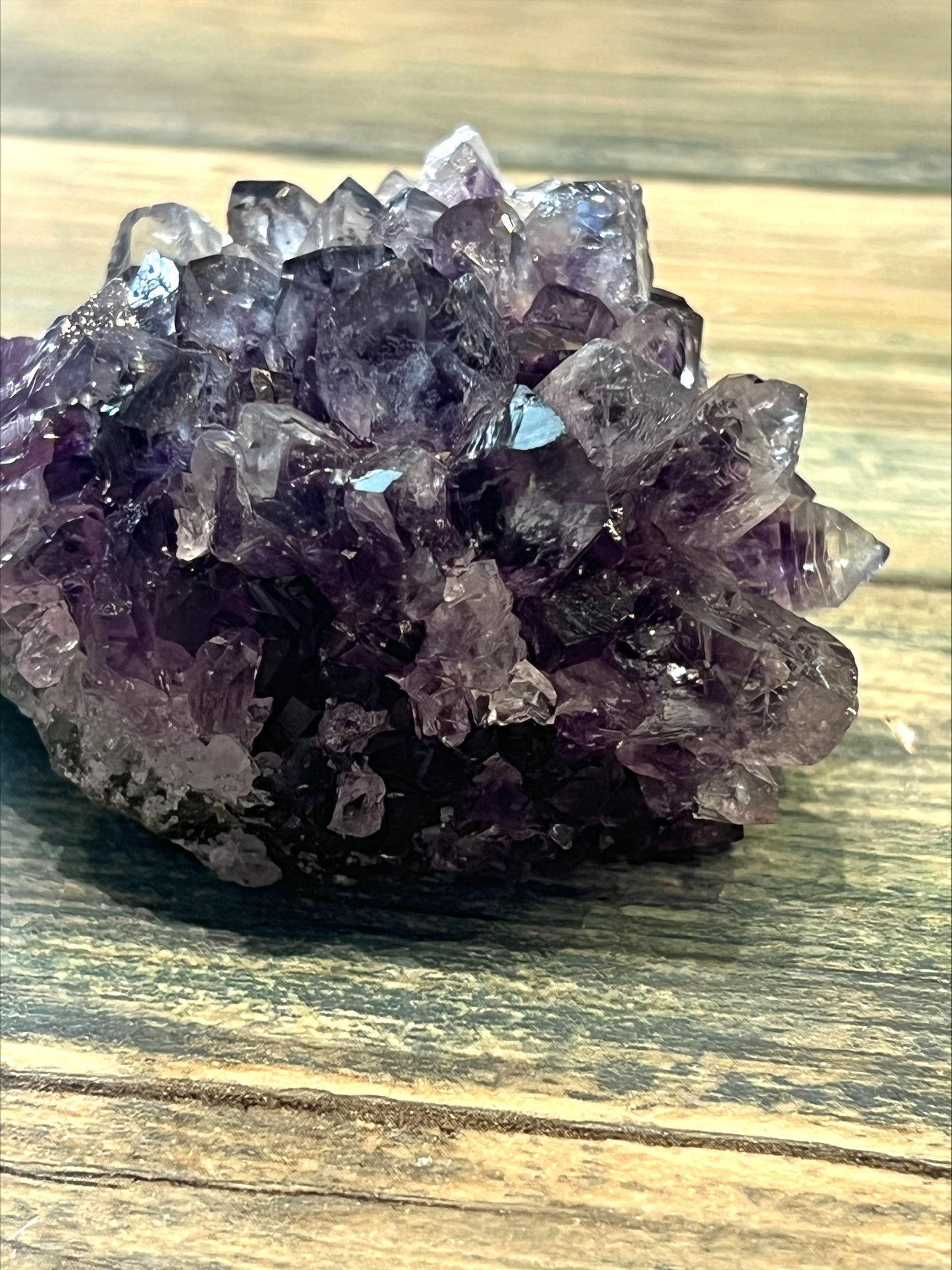 Amethyst Pine